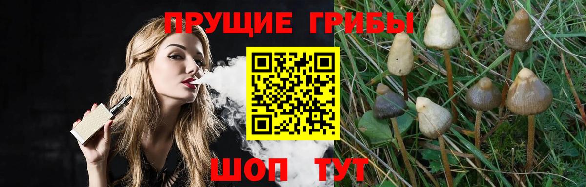 Галлюциногенные грибы Magic Shrooms Кунгур