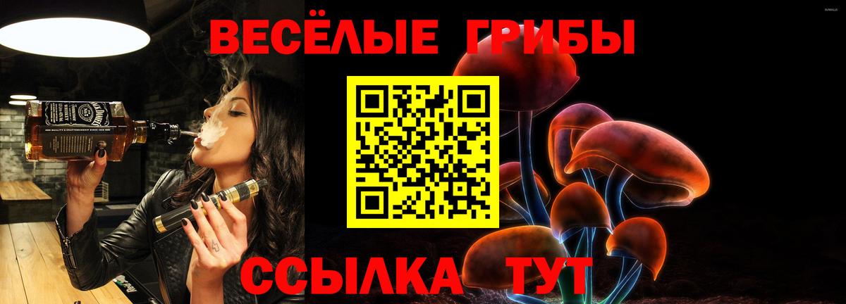 Псилоцибиновые грибы MAGIC MUSHROOMS  Псилоцибиновые грибы ЛСД  Вход с VPN  купить наркотики цена  Кунгур 
